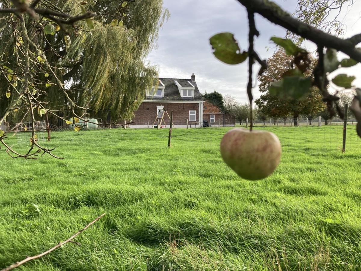 Landhuis 'De Ontspanning' Villa Axel Dış mekan fotoğraf